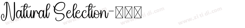 Natural Selection字体转换